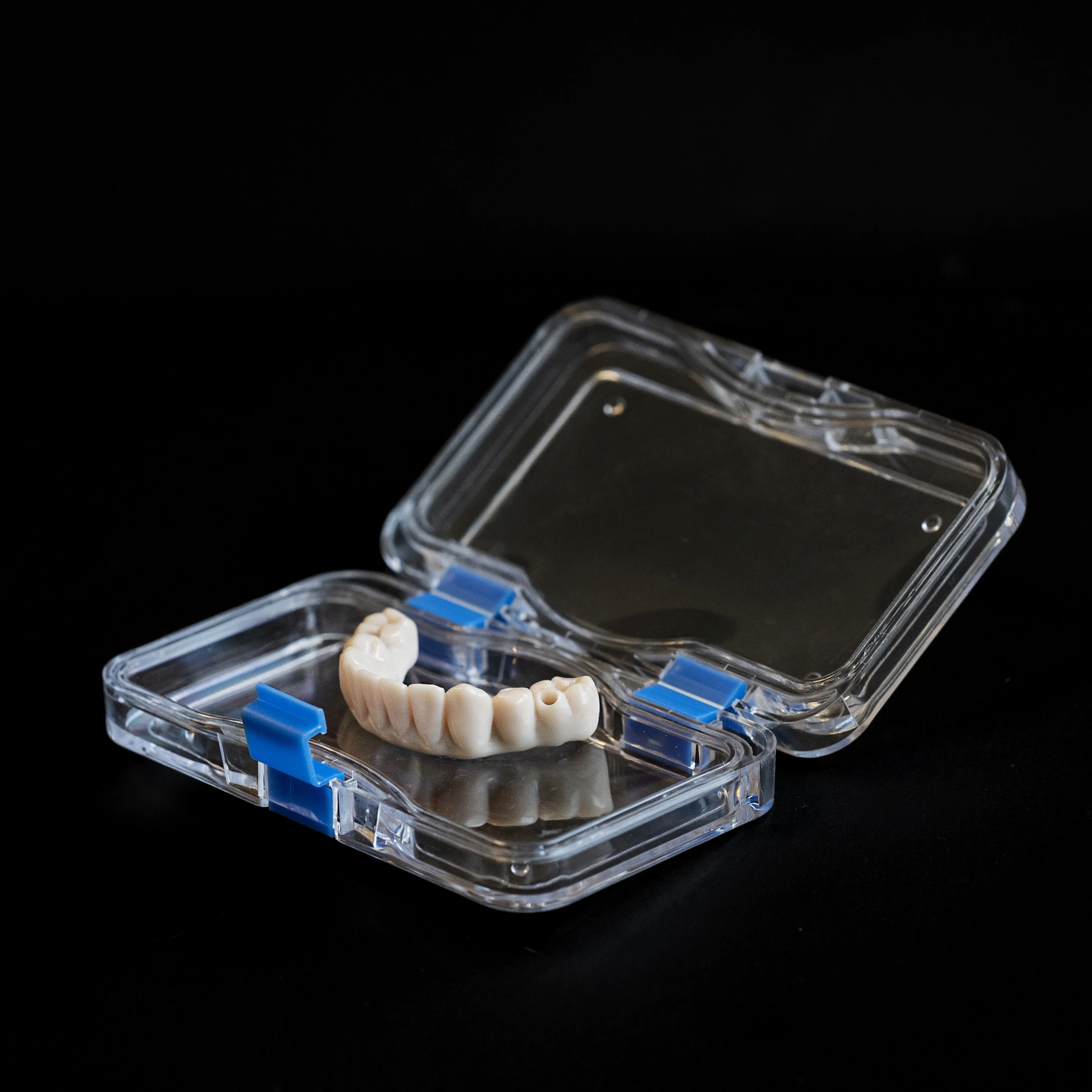Fixed dental prosthesis in a protective case